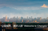 植物盆栽已然成為工作生活的一部